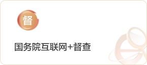 國務(wù)院互聯(lián)網(wǎng)+督查